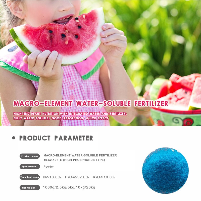 NPK Water Soluble Organic Fertilizer（High Phosphorus)