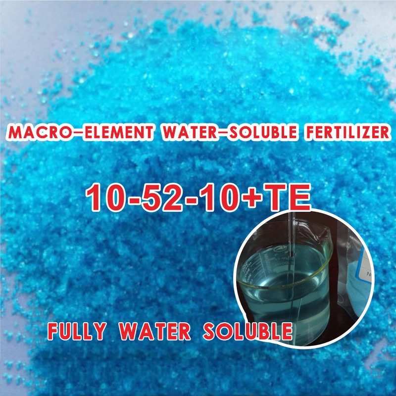 NPK Water Soluble Organic Fertilizer（High Phosphorus)