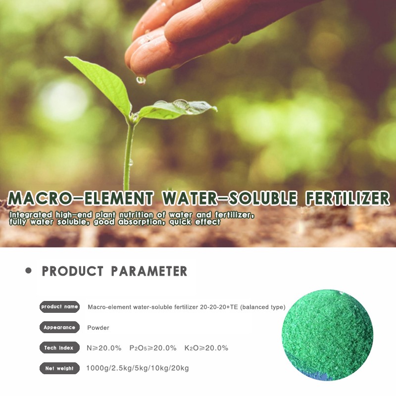 NPK Water Soluble Organic Fertilizer （Balance)