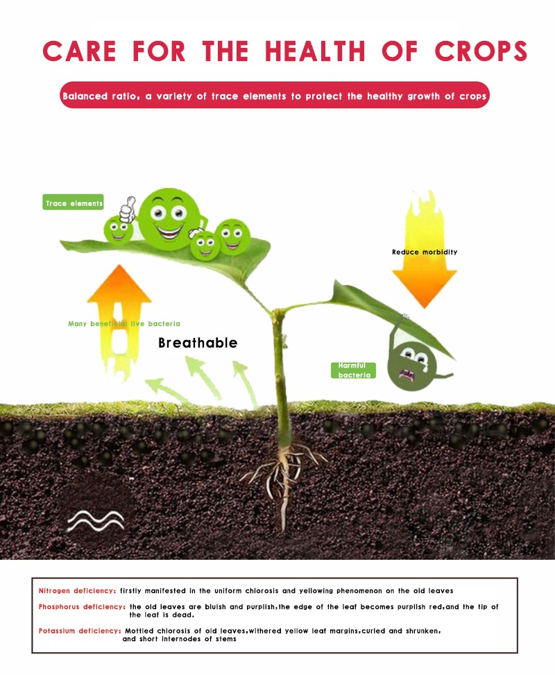 NPK Water Soluble Organic Fertilizer （Balance)