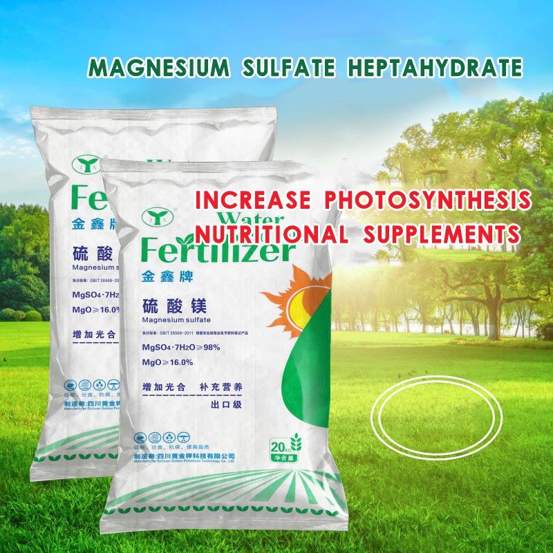 Magnesium Sulfate