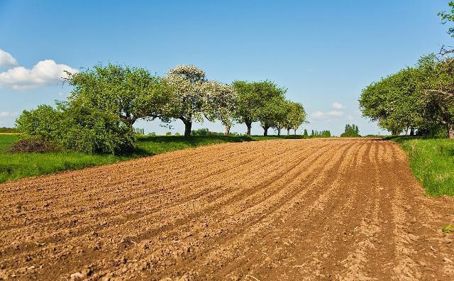 How to Properly Apply Potassium Fertilizer