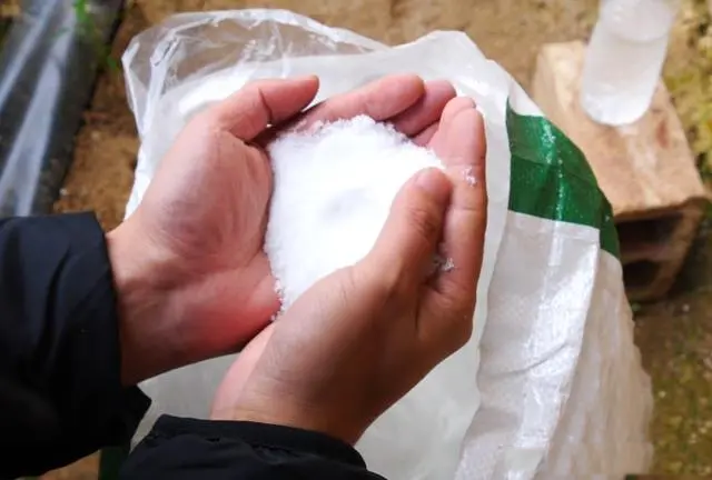 What kind of fertilizer is urea? How to use it effectively?