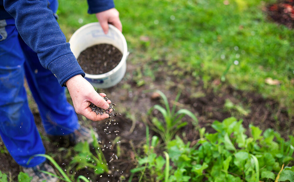 How to apply nitrogen fertilizer best