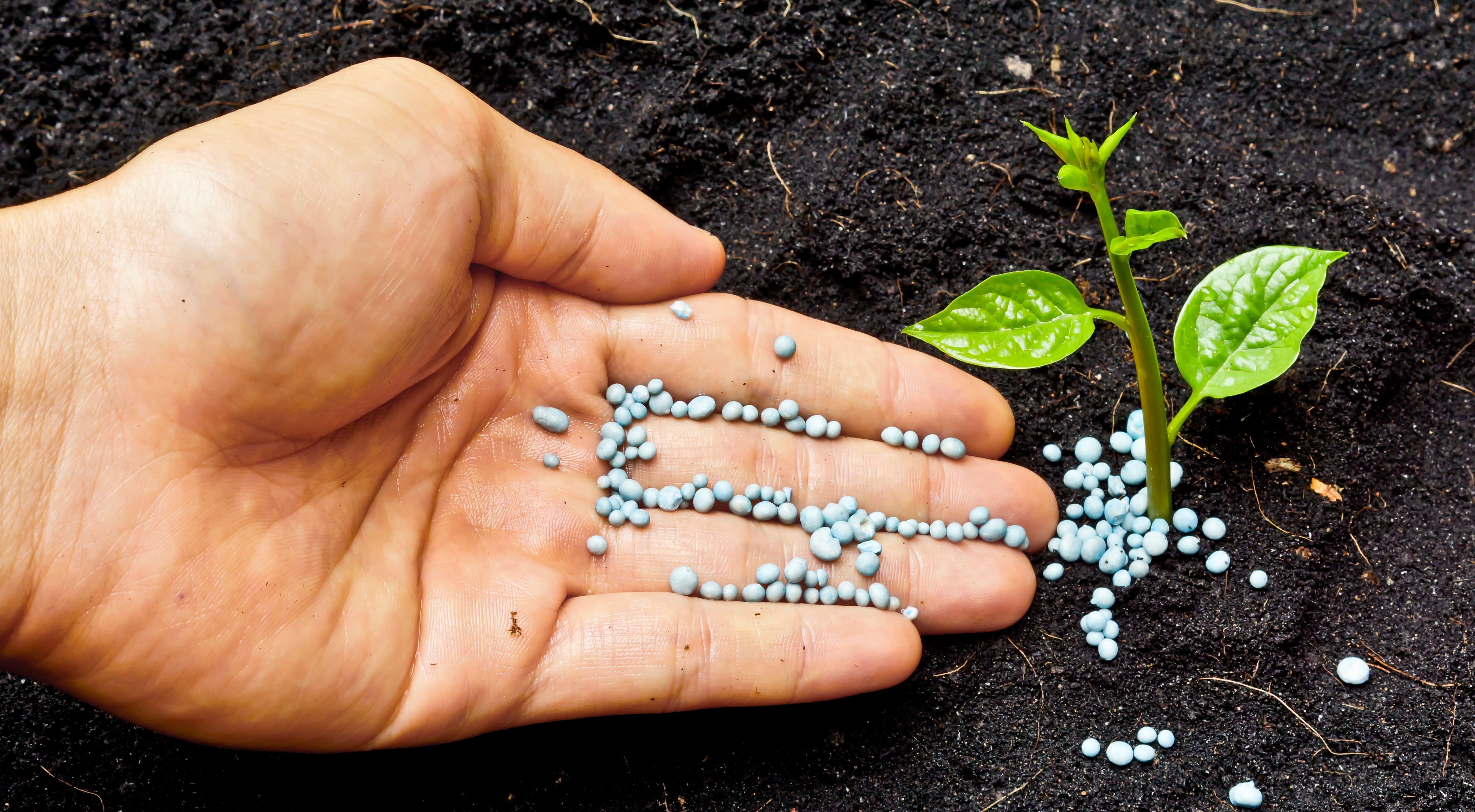 What should I pay attention to when buying fertilizer products