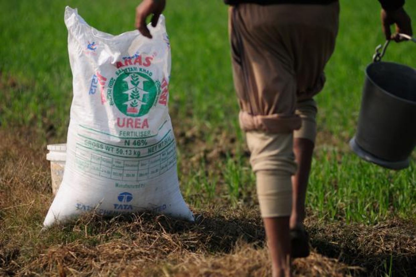 The role and use of fertilizer urea