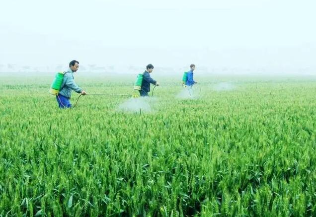 How to improve the utilization rate and fertilizer efficiency of urea