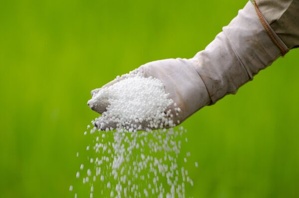 What is the difference between urea and fertilizer